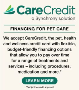 Visit the Care Credit Website